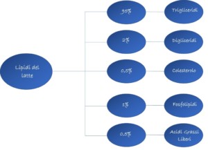 schema dei grassi del latte