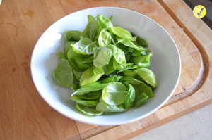 Foglie di basilico per fare il pesto per la vostra pasta fredda